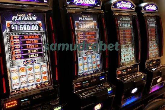 samudrabet Live Game Shows at samudrabet